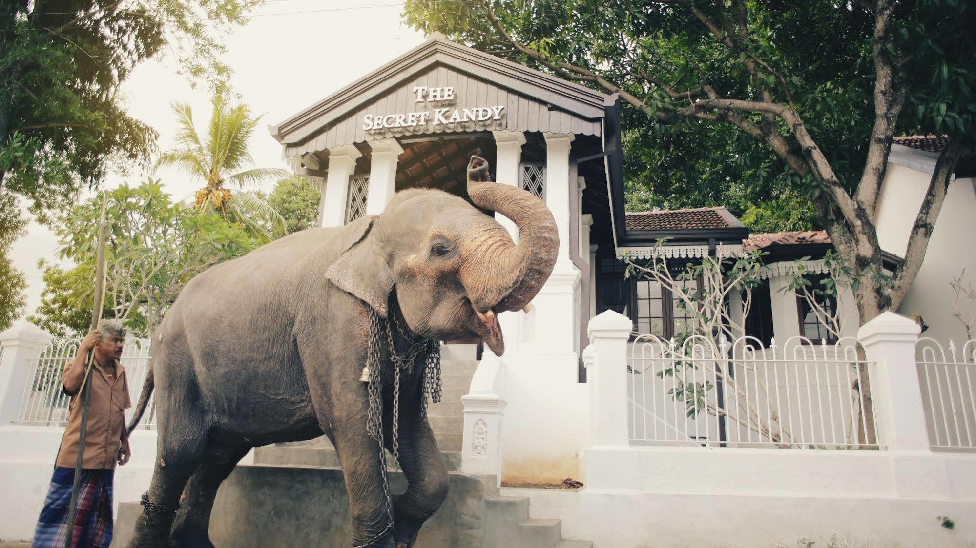 The Secret Kandy Exterior photo